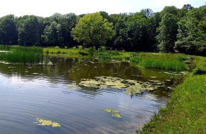 Naši parazitologové v médiích: lovci améb a cerkárií