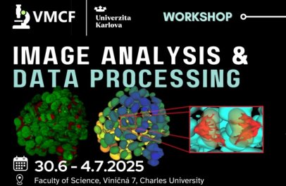 Workshop Image analysis & data processing
