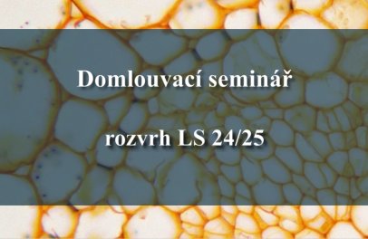 Domlouvací seminář