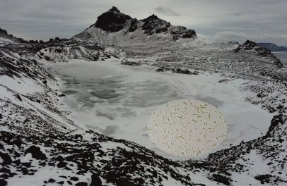 Experiment CryoAlgae by se mohl podívat na Mezinárodní vesmírnou stanici