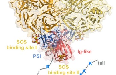 Paper alert - Rozbeský lab