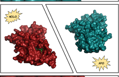 Paper alert - Novotný lab