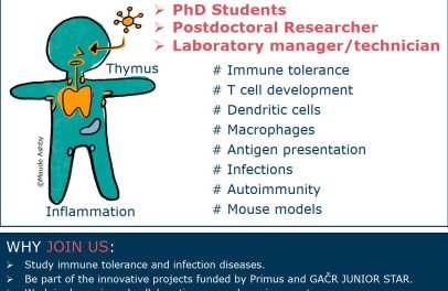 Positions in Immunology Research!