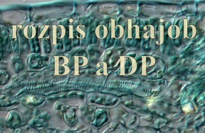 Rozpis obhajob DP a BP