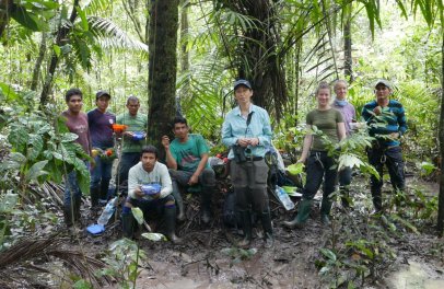 New data-driven map reveals extensive peatlands in Amazon Basin