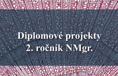 Prezentace diplomových projektů