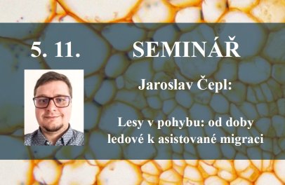 Seminář: Jaroslav Čepl