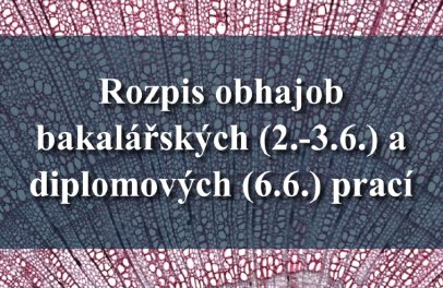 Rozpis obhajob BP a DP