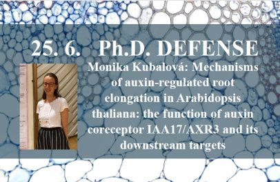 Defense: Monika Kubalová