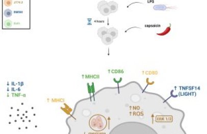 Paper alert - Krulová lab HOT