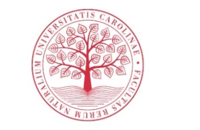 Často kladené otázky Ph.D. studentů k doktorskému studijnímu příjmu