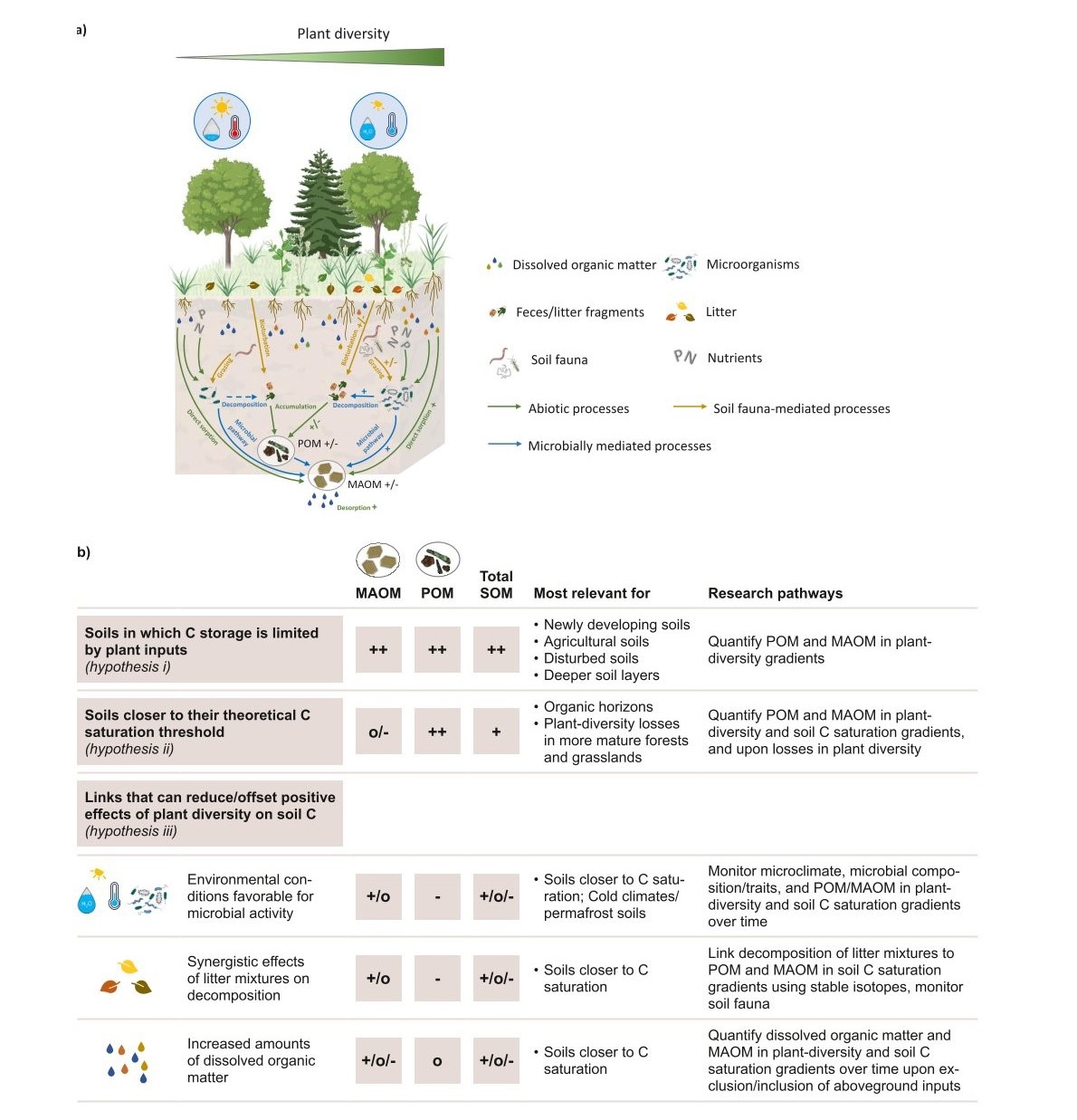 Kontextuálně specifické vazby mezi diverzitou rostlin a partikulovanou organickou hmotou (POM) a minerální organickou hmotou (MAOM) (Angst et al., 2025; CC-BY-NC)