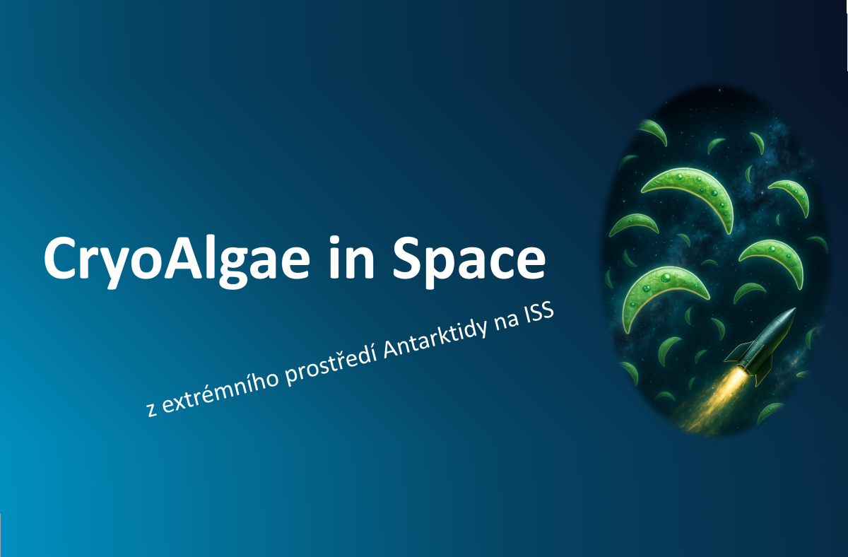 Český experiment s antarktickými řasami míří na Mezinárodní vesmírnou stanici