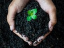 Téma Bc/Mgr práce: Role biocharu a kompostu ve zúrodnění  degradovaných zemědělských půd